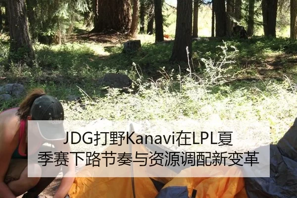 JDG打野Kanavi在LPL夏季赛下路节奏与资源调配新变革