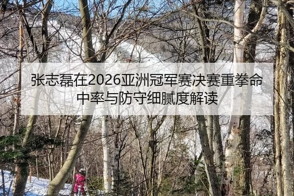 张志磊在2026亚洲冠军赛决赛重拳命中率与防守细腻度解读
