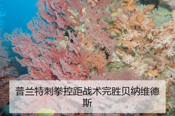 pu-lan-te-ci-quan-kong-ju-zhan-shu-wan-sheng-bei-na-wei-de-si-2-534.jpg